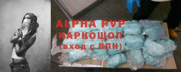 стаф Алексин
