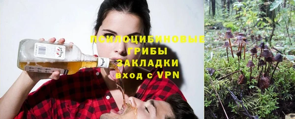 соль курить ск Алексеевка