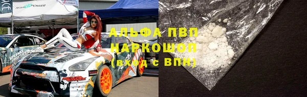 дживик Осинники